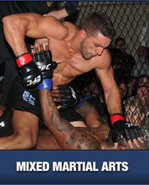 mixed-martial-arts